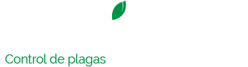 LOGO WEB